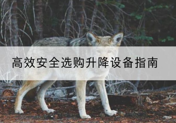 仁怀升降货梯厂家推荐-*安全选购升降设备指南