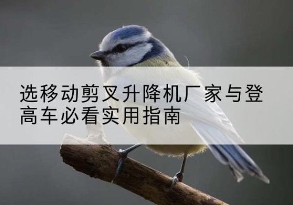 仁怀电动升降机厂家-选移动剪叉升降机厂家与登高车必看实用指南